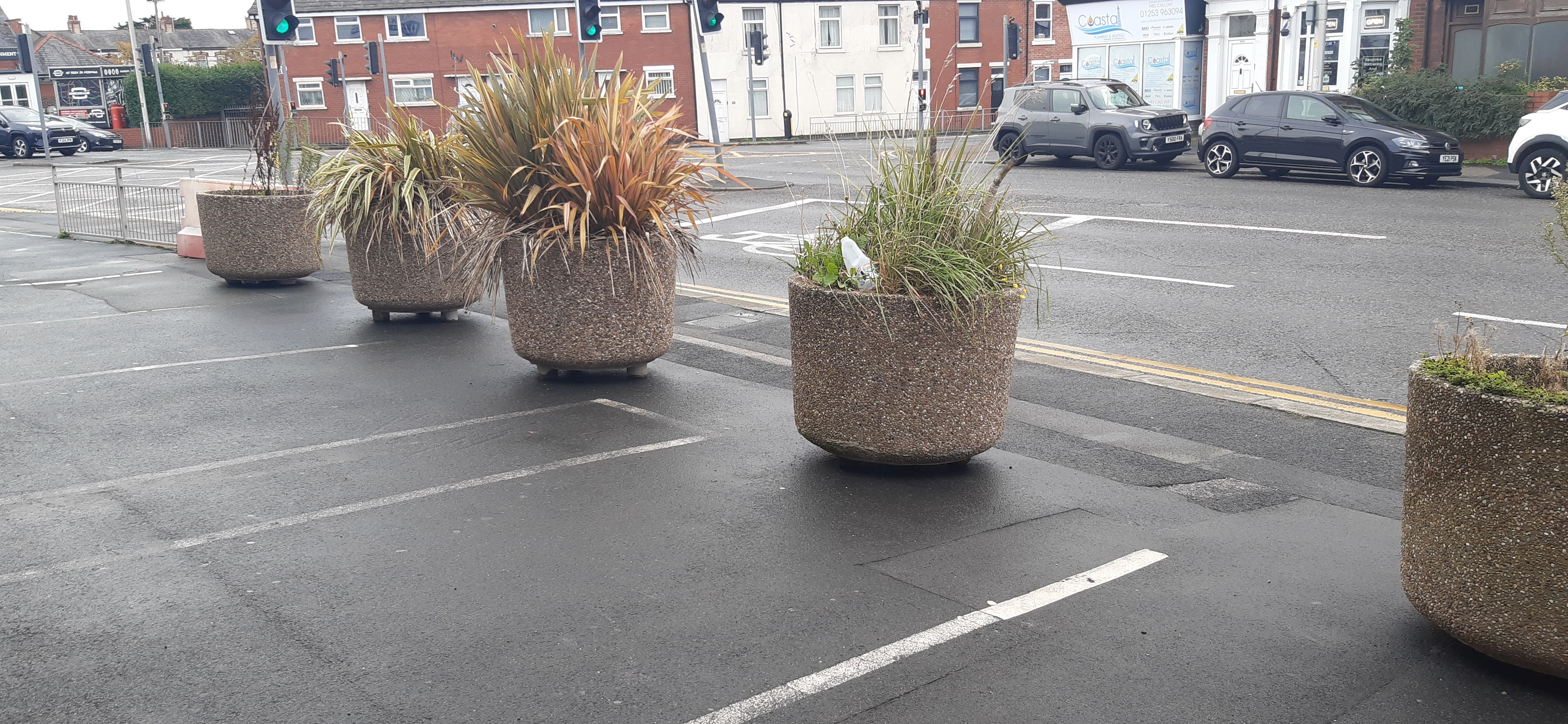 the planters put in