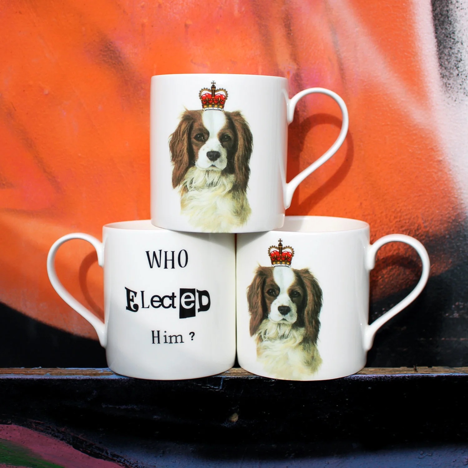 Stokes Croft China Who Elected Him mug